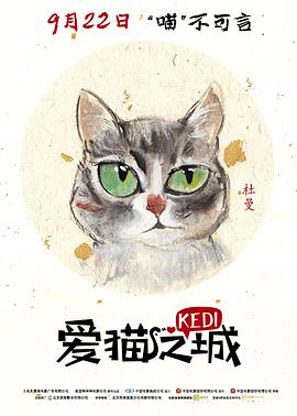 爱猫之城（普通话）}